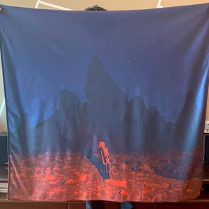 Punisher 2020 / Stranger in the Alps Album Cover Large Banner 40&quot;x40&quot;, American Indie Musician Wall Decor, Wall Hanging