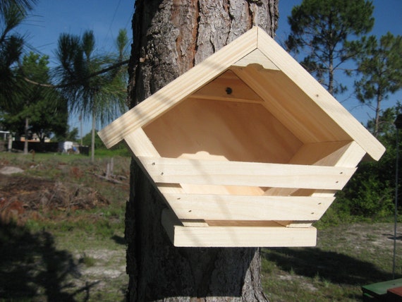 Robin Phoebe,Nest Box Birdhouse Stained SALE  Mourning Dove 