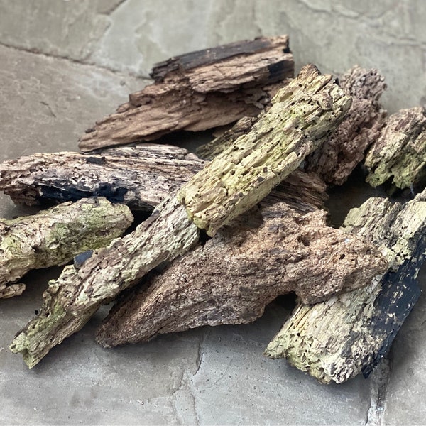 Wood pieces for Terrariums • Reptile Safe wood for Reptile tanks Isopods Terrariums