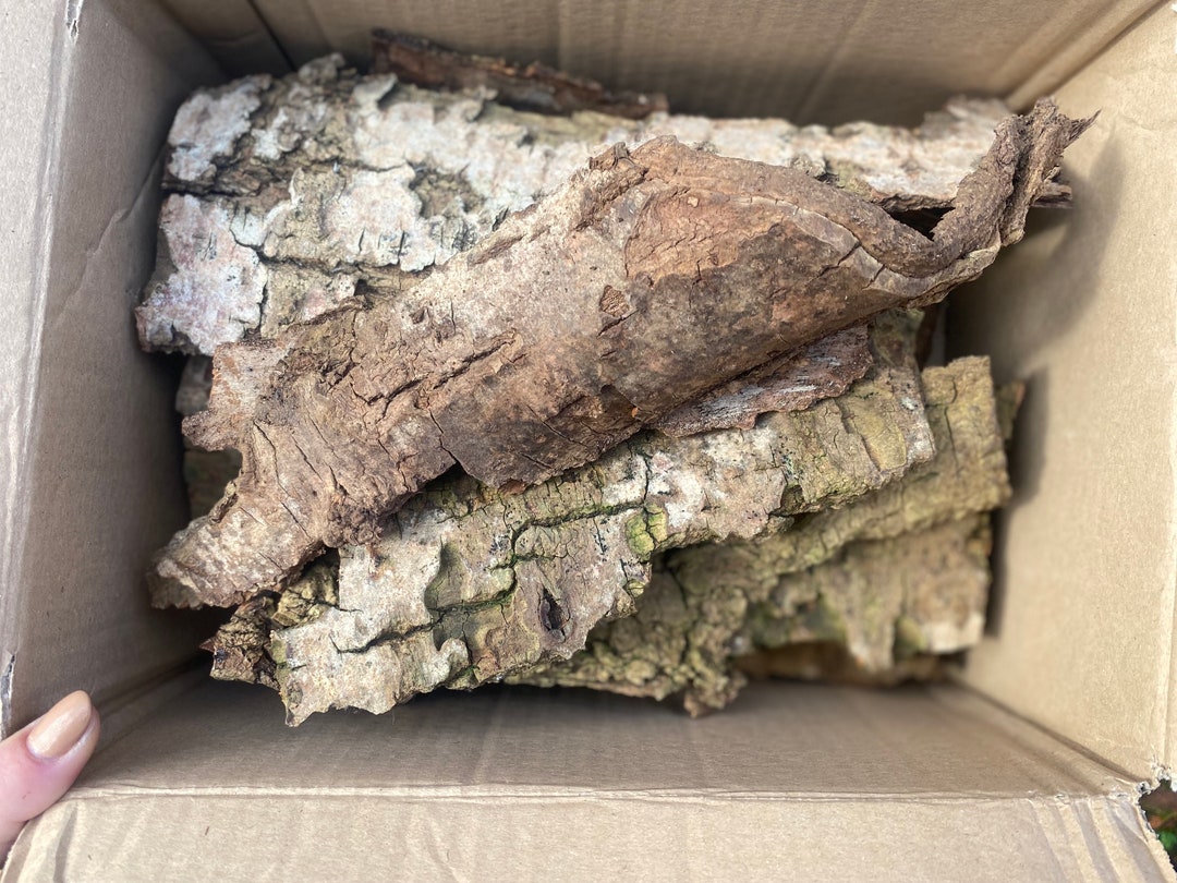 Tree Bark Pieces Reptile Safe Wood for Reptile Tanks Isopods Terrariums