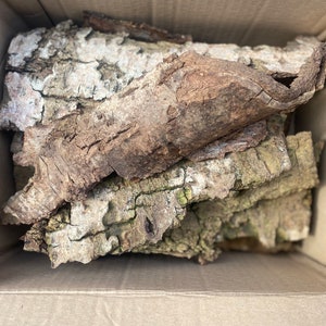 Tree bark pieces • Reptile Safe wood for Reptile tanks Isopods Terrariums