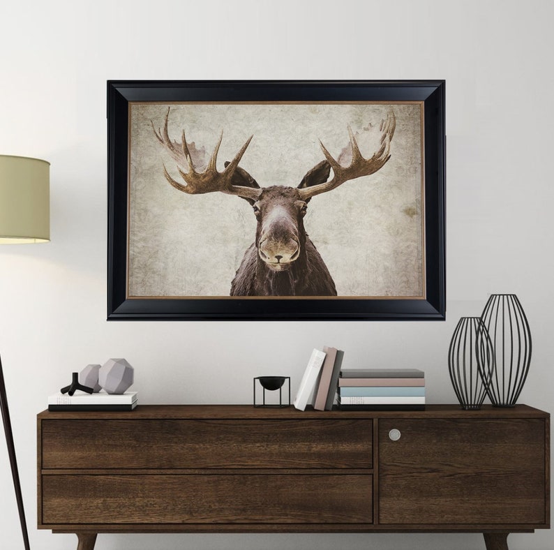 Elmer the Moose by Natasia Cook Art Print Home Decor Rustic Etsy Canada