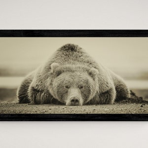 Deep Sleep Bear by Ph Burchett, Art Print, Home Decor, Rustic