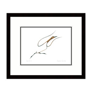May include: Abstract art print in a black frame with a white mat. The artwork features a brown and black line drawing on a white background. The text "Near the sky" is printed on the bottom left. The artist's name is printed on the bottom right.