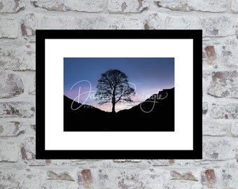 Sycamore Gap, Hadrian’s Wall, Northumberland – Photographic Print