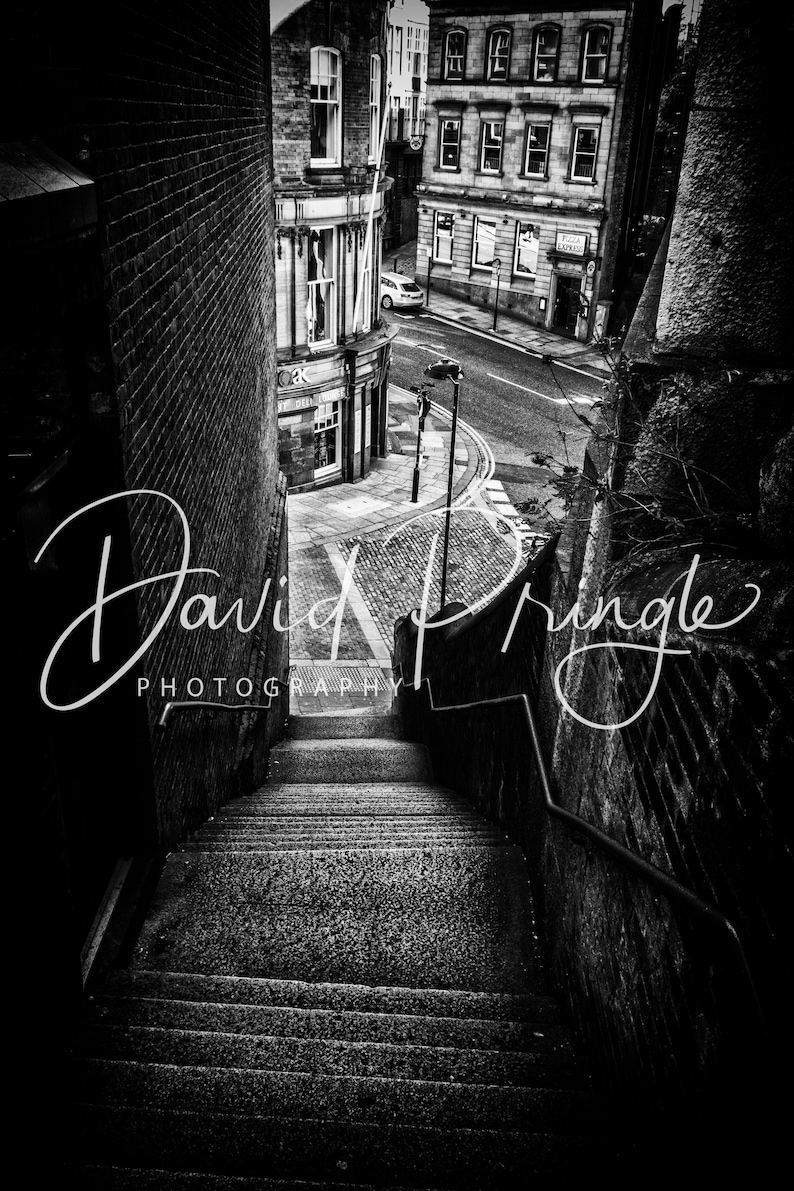 Dog Leap Stairs Newcastle Upon Tyne Photographic Print Etsy