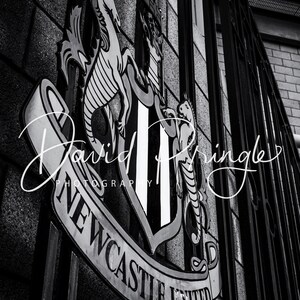 Newcastle United Crest Photographic Print image 2