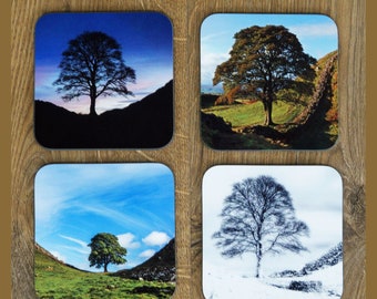 Set of 4 Hardwood Coasters – Colour – Sycamore Gap