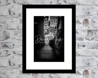 Dog Leap Stairs, Newcastle upon Tyne – Photographic Print