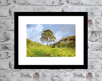 Sycamore Gap, Hadrian’s Wall, Northumberland – Photographic Print