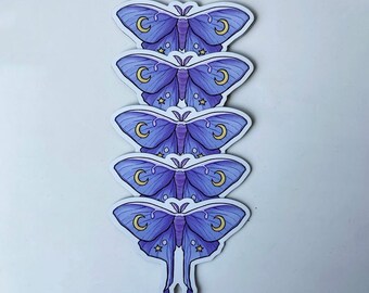 Moth Magnet