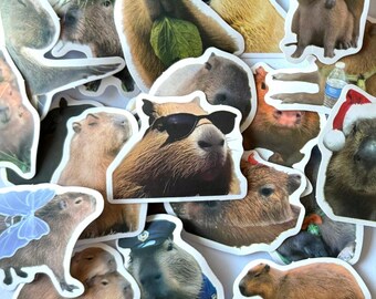 Capibarastickers, pak van 20/50, waterdichte schattige capibarastickers, decoratiestickers voor tijdschriften Kindercadeau, koffer laptop waterfles