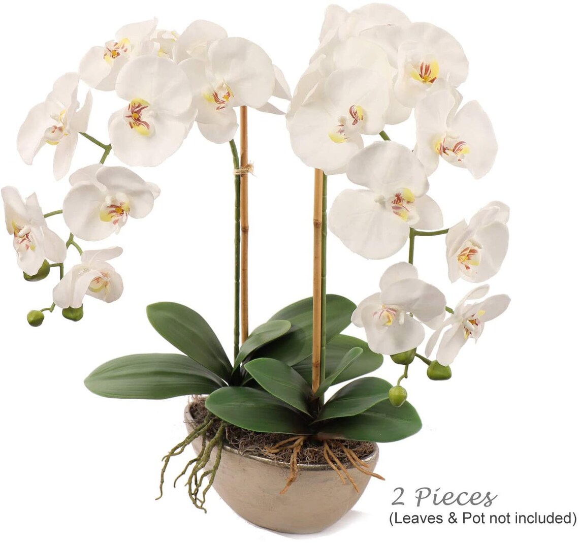 2 Pack White 33.5 Artificial Orchid Stems REAL TOUCH Faux Etsy