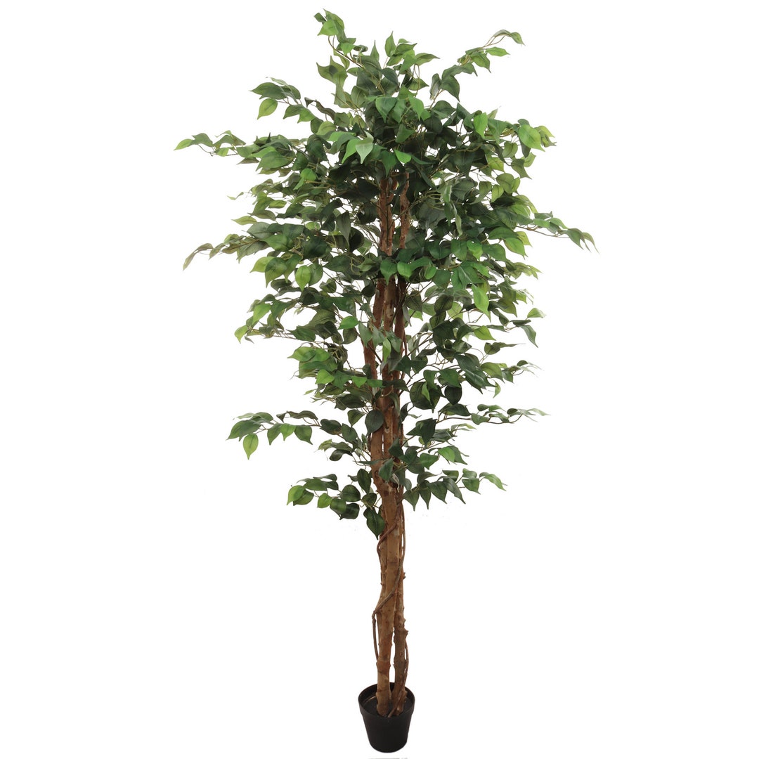 6 Artificial Ficus Tree 1008 Leaves Lifelike Indoor - Etsy