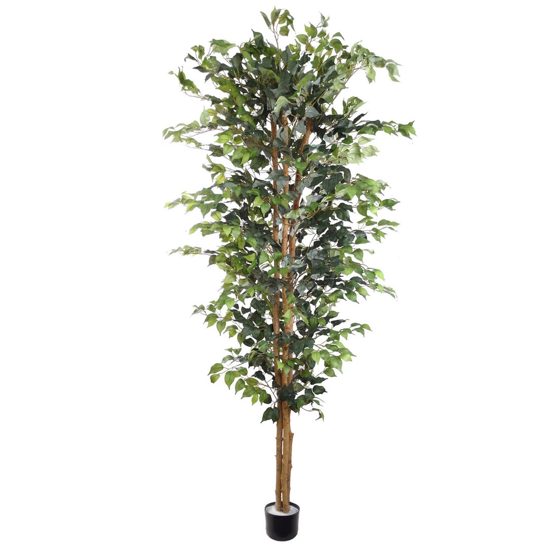 7' Pre-potted Ficus Tree With 1512 Silk Leaves UV - Etsy