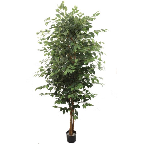 Ficus Silk Tree Artificial Trees Etsy