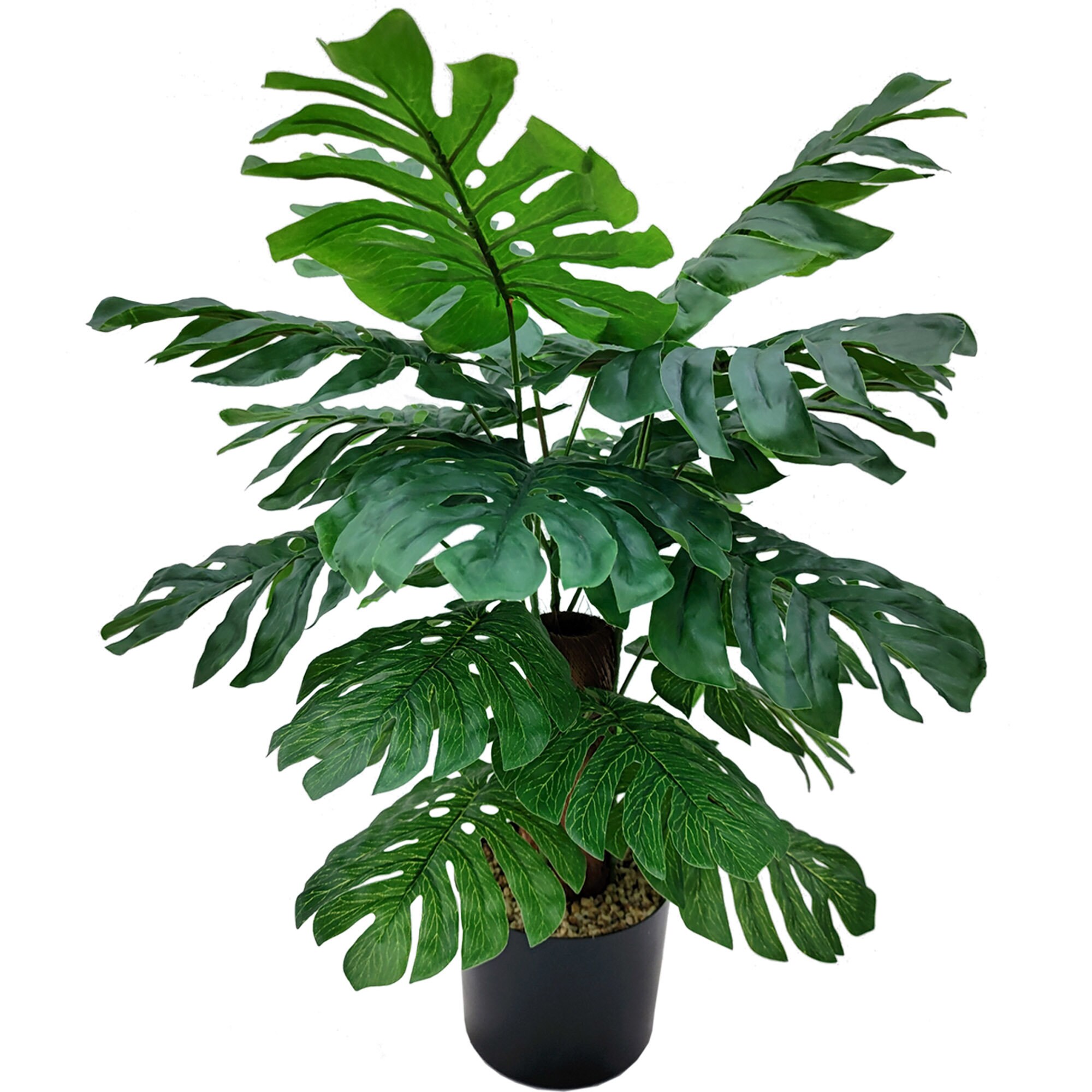 Monstera Plant 24 in Pot Silk Artificial House Plant 24 Etsy