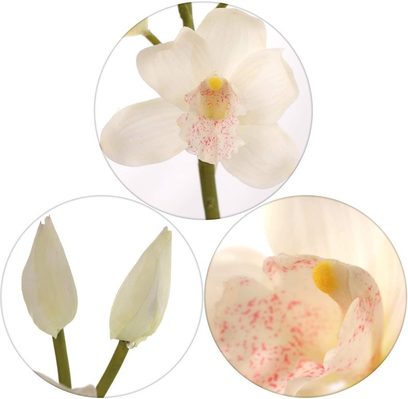 Silk Cymbidium Orchid Stem WHITE 30 With 10 Etsy