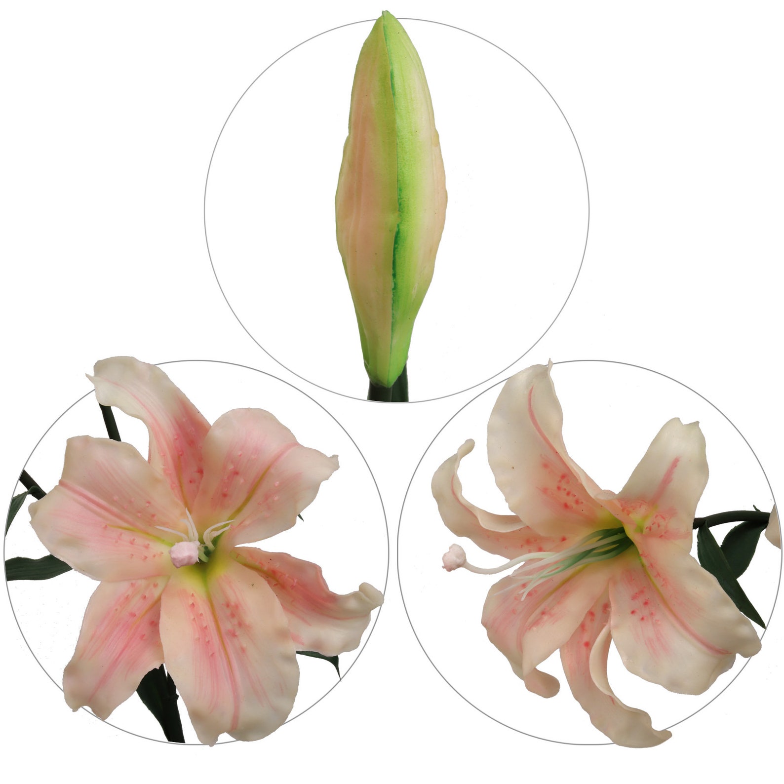 Premium Real Touch Silk Flower Lily 35 2 Natural Pink Etsy