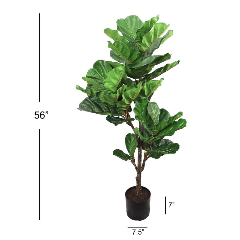 Silk Fiddle Leaf Fig Tree in Black Planters Pot 56 W/ 26 Etsy