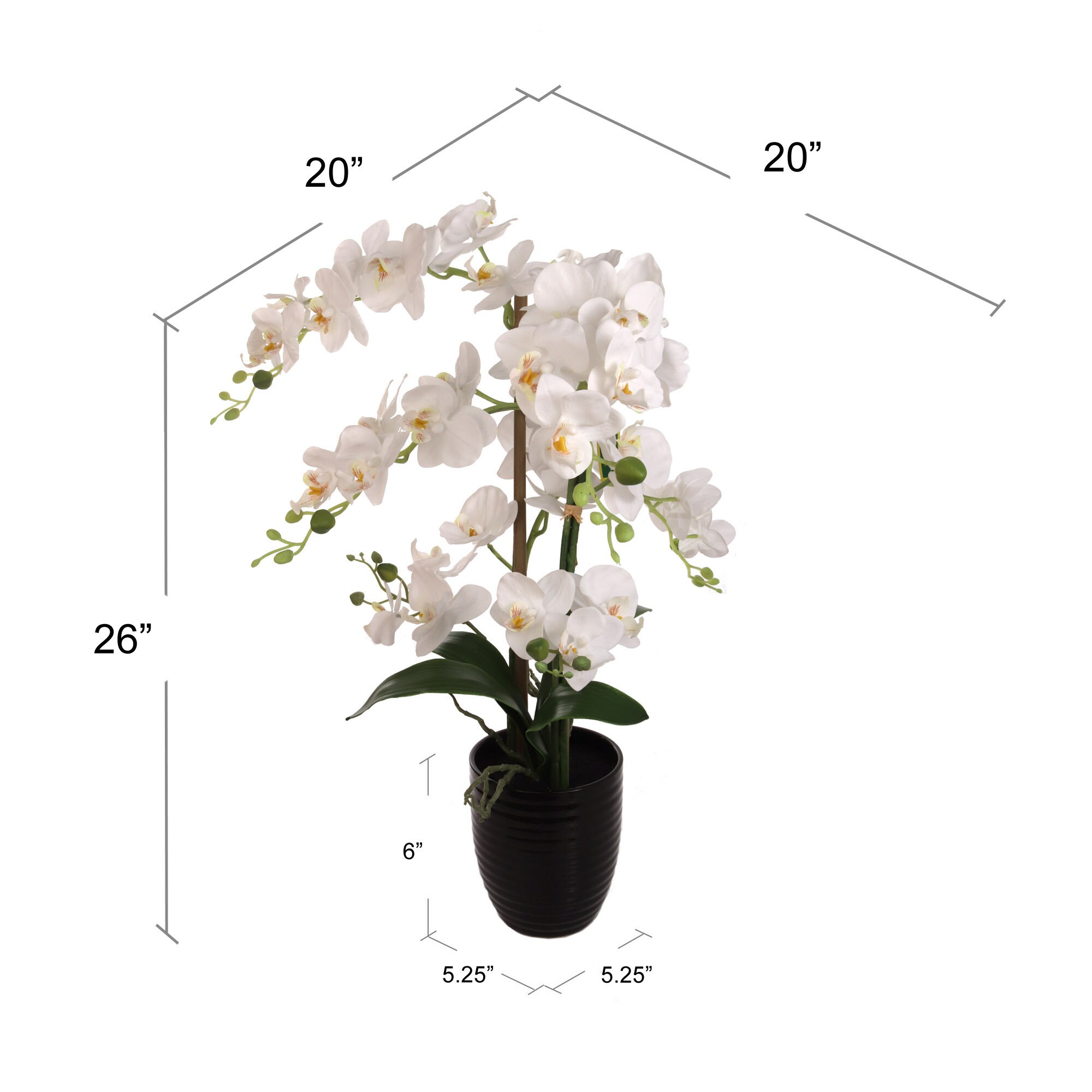 25 Inch Phalaenopsis Orchid Floral Arrangement in Decorative - Etsy