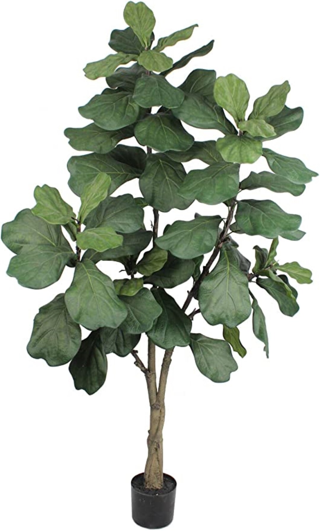 6ft Silk Fiddle Leaf Fig Tree65 Natural Looking Silk Leaves Etsy