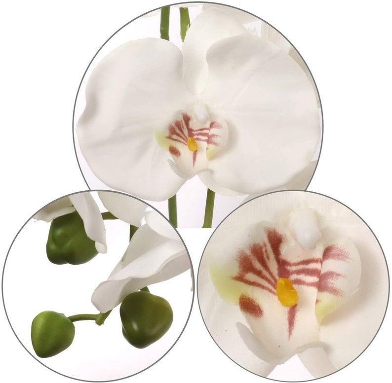 2 Pack White 33.5 Artificial Orchid Stems REAL TOUCH Faux Etsy
