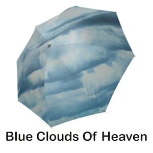 May include: A blue umbrella with a white cloud pattern. The umbrella is closed and has a black handle.