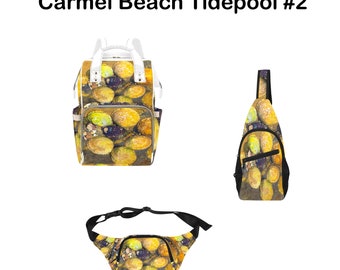 Spacious, Original, Well-Constructed FineArt BACKPACK, CROSSBODY & FANNY packs For school, work, hiking, travel. Colorful Tidepool Seashells