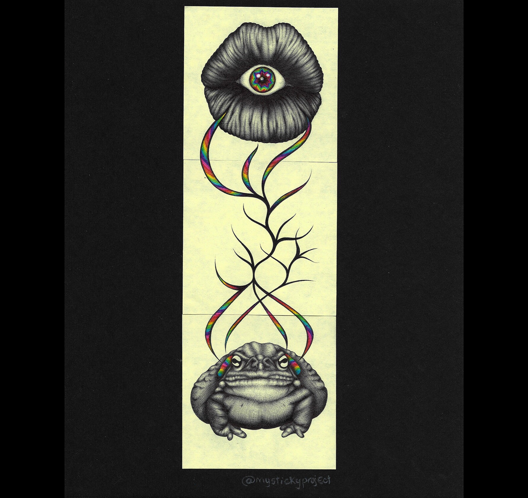 Bufo Alvarius / Original Ball Point Pen Illustration Etsy UK
