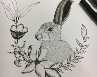 Original Illustration of a Hare