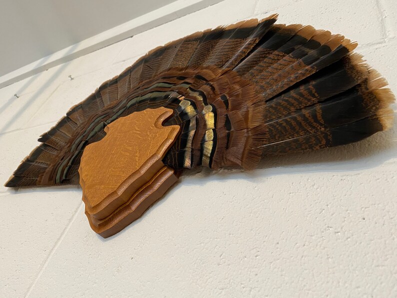 Turkey Tail Fan Mount Plaque Arrowhead Design Etsy