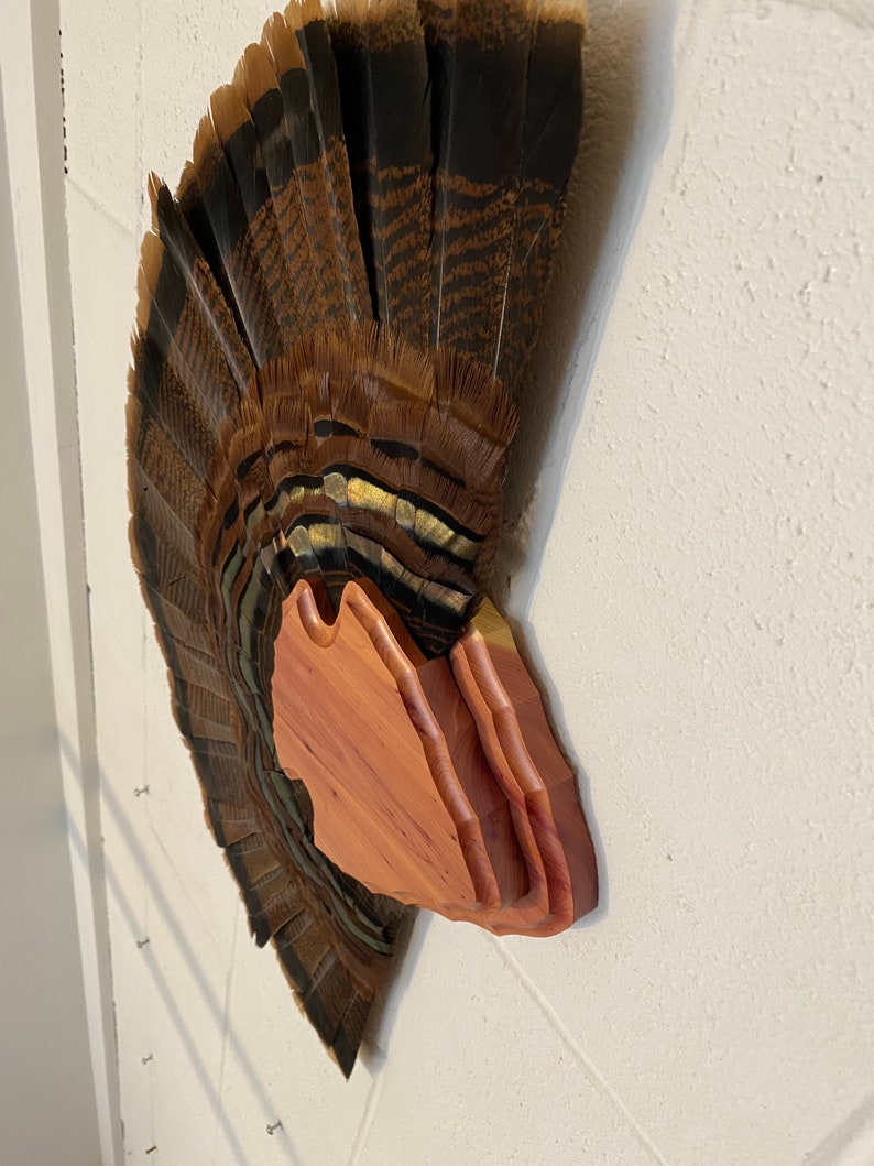 Turkey Tail Fan Mount Plaque Arrowhead Design Etsy