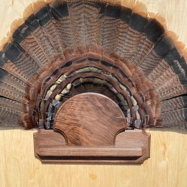 Turkey Beard Display Etsy