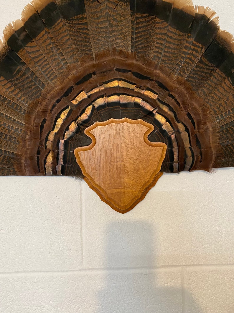 Turkey Tail Fan Mount Plaque Arrowhead Design Etsy