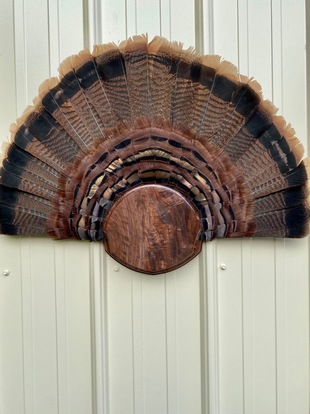 Premium Walnut Turkey Fan Mount Plaques Etsy