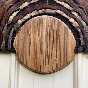 Turkey trophy fan display made from Sassafras wood