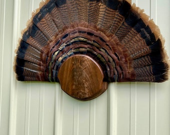 Your choice, Premium walnut Turkey fan mount plaques