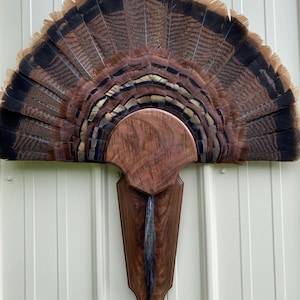 Figured Black walnut wood Turkey tail/beard plaques