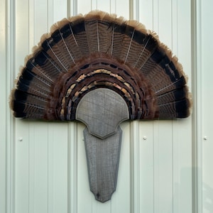 Rustic Weathered turkey tail/beard trophy display panel