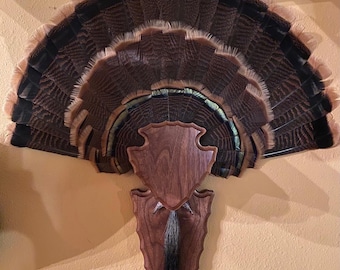 Turkey tail and beard plaque arrowhead design