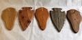 animal mounts