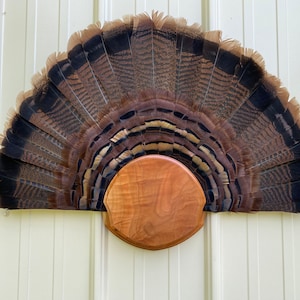 Your choice, Premium figured black cherry wood Turkey trophy