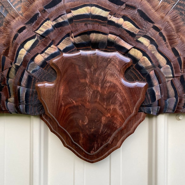 Turkey Fan Mount Etsy