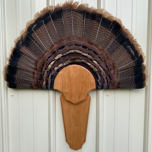 Black cherry wood Turkey tail beard plaques