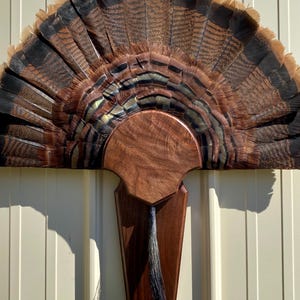 Figured Black walnut wood Turkey tail/beard plaques