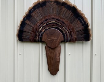 Turkey tail and beard plaque