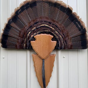 Solid oak wood turkey tail and beard plaque arrowhead design