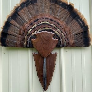 Your choice - One-of-a-kind walnut wood turkey tail and beard plaque arrowhead design