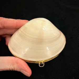 Handmade Vintage Quahog Proposal Clamshell with Ring Pillow, Beach Marriage Ring Box